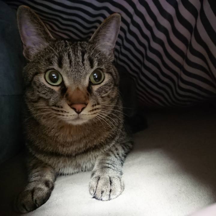 A563b432 d0da 4133 99a2 1da7fd6d7297 1521390644758