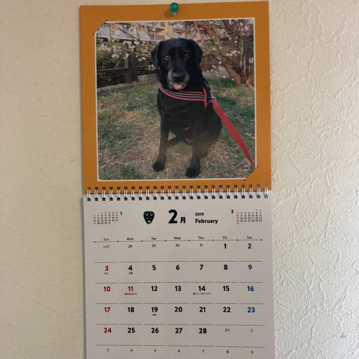 A563ed66 910f 4b92 b0d7 e9738efc288f 1549072665201