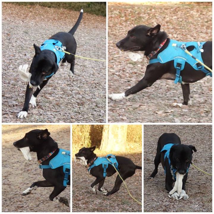 A5646785 63c9 4c41 a92c 77d277dfa71b 1610586065309