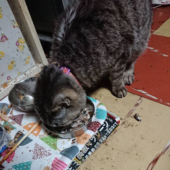 A56469c4 b5ba 4141 bc6c 7eefd212e9a4 1592078688715