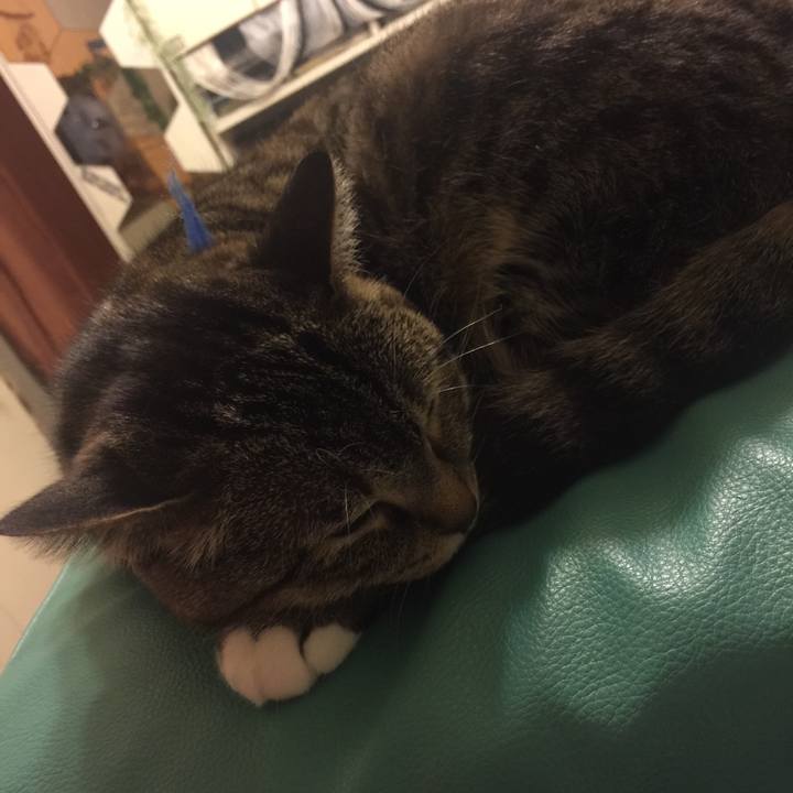 A56482fc b010 4a4e 86ff ce7bfa6789b6 1556118715056