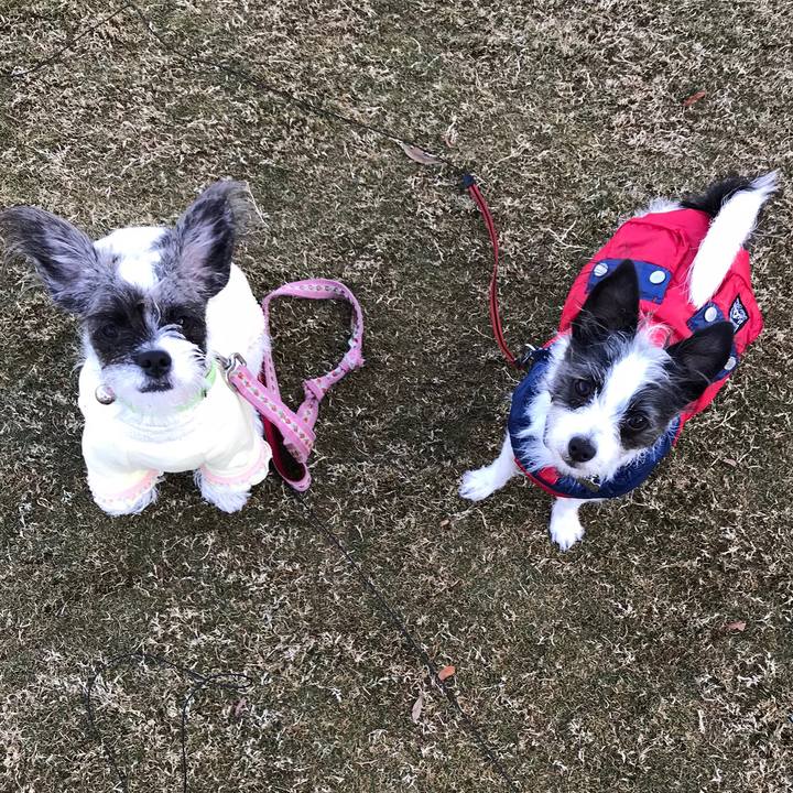 A5648806 401d 44b2 be97 68c3fcbee68f 1545128783515