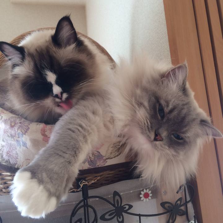 A5649cd8 04c8 454a a155 47de722bce98 1508333535298