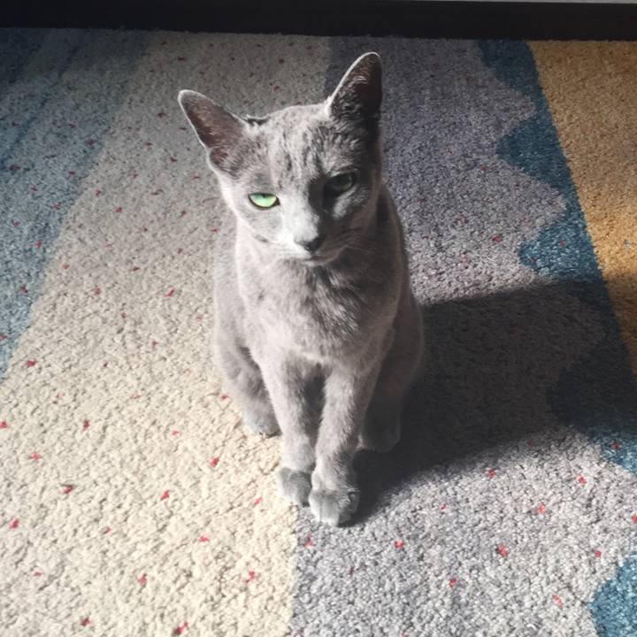 A564c48b ec41 4b3c ad35 2836719a6130 1522624790787