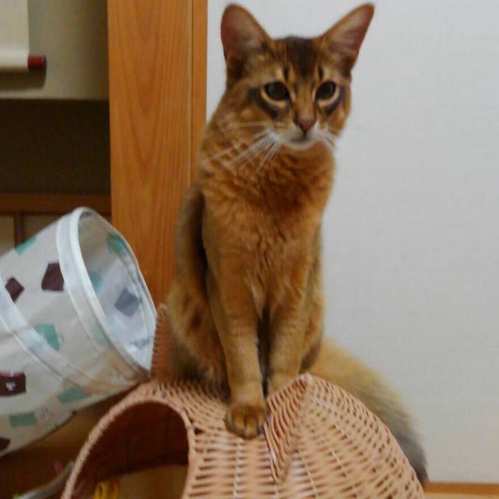 A564f02b 8bd9 49e0 befe a11513b6b20a 1585263195578