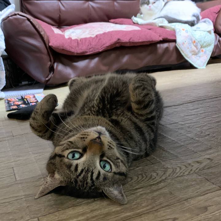 A564f1e1 64fd 4d95 9996 d54095222aef 1604142500214