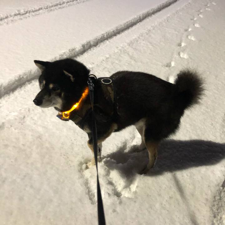 A56513a7 85cb 4c89 9664 0e7ebafb8ae6 1607058740607