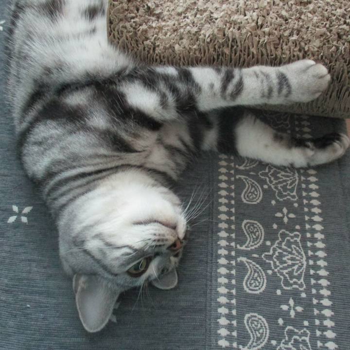 A5652a60 8924 467f b35e f171b39e3cd4 1572302963519