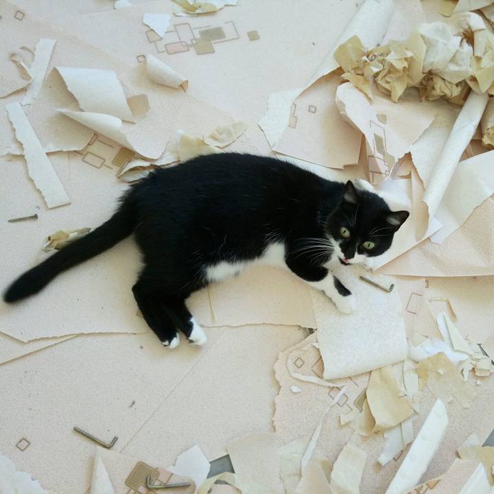 A56536af 877a 41a1 834b ff80a868afa9 1508142882515