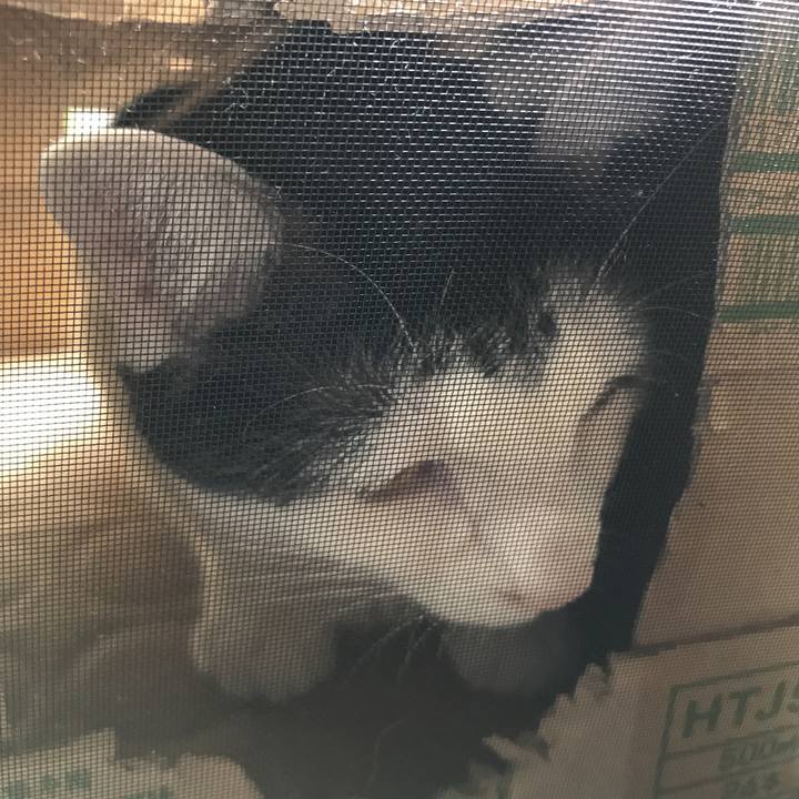 A5653ddc 22db 45dc 8633 81523a0a8522 1541645451007