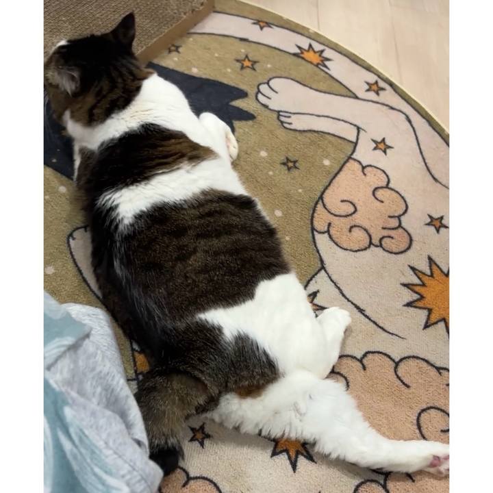 A56555eb 4ceb 4fbb 89f4 2228ccc7f6e0 1771303121552