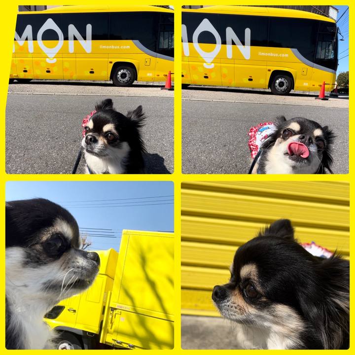 A5657494 05d0 4924 8f5c 5a50242d4d5f 1677552965134