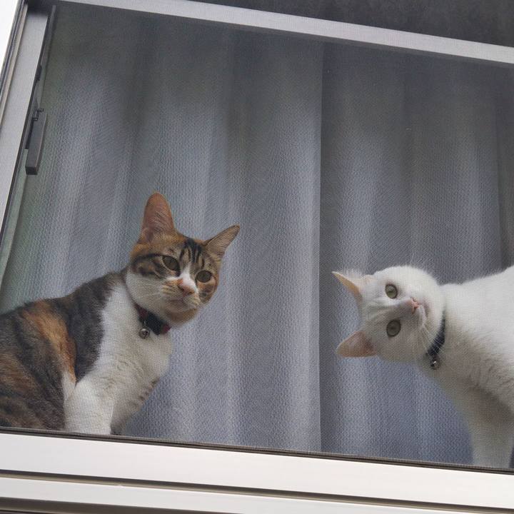 A5659494 22da 4777 8521 c2d12658f2e4 1664836519658