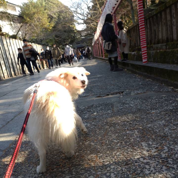 A56595c0 5155 44fa 8e4f 60222f90deaf 1672634127944