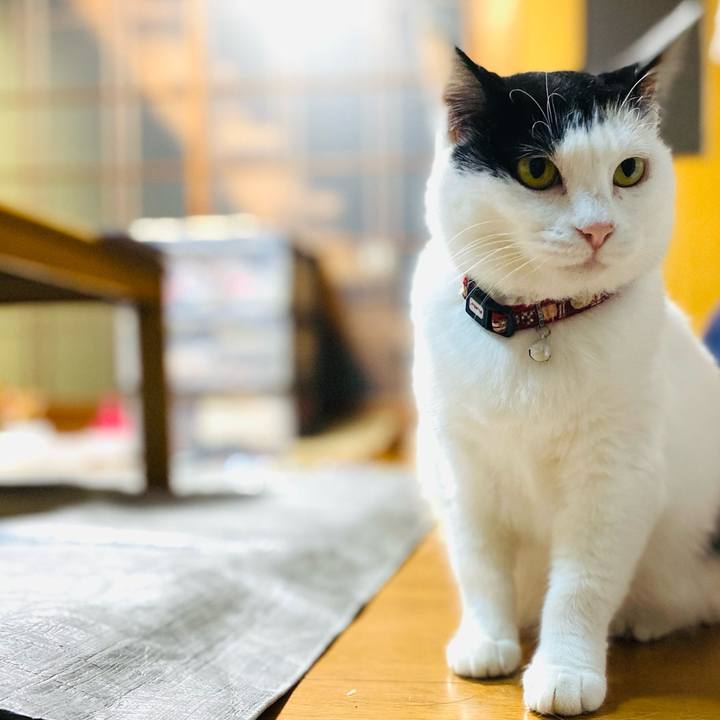 A5659f52 3347 4e17 be2d 2691da1d7b0d 1653079938049