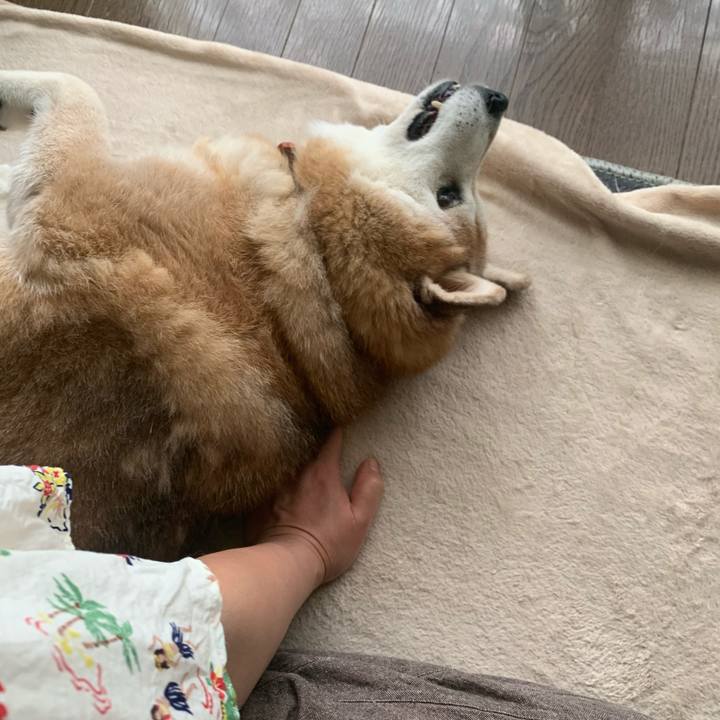 A565a405 9572 4b01 8213 c9e0aa37b7c4 1597021338542