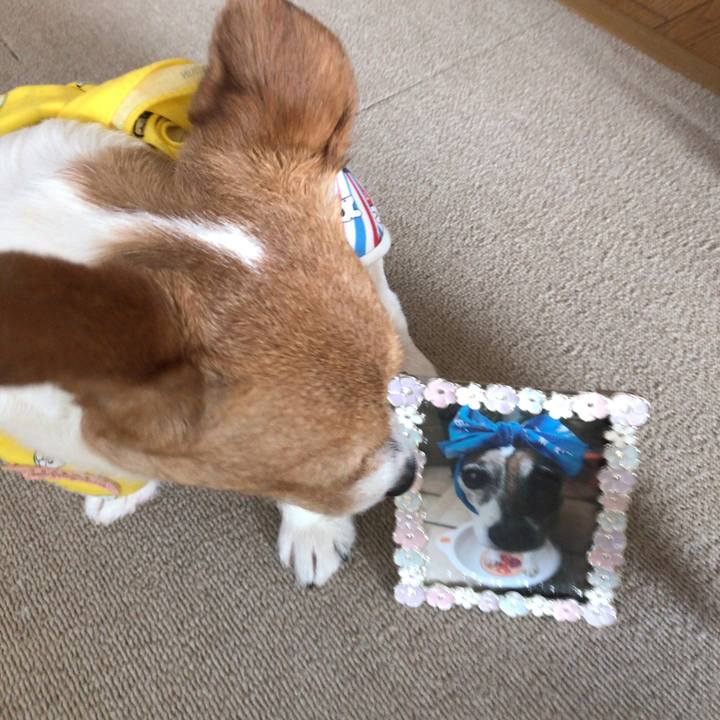 A565b476 86af 451b b400 c8c2b83208d5 1558911240479