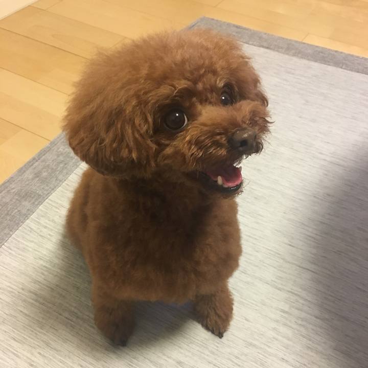 A565c9a2 4687 4ddc 8813 b55e7e8979b2 1533042265996