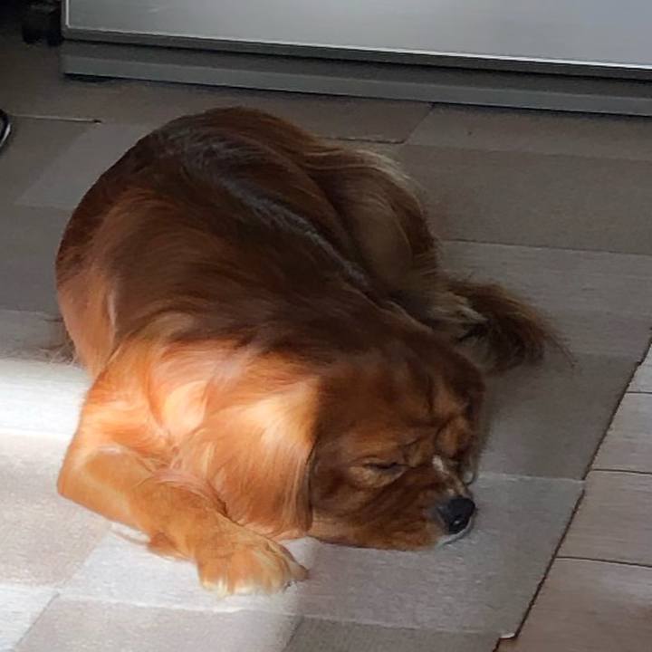 A565d6e7 88a8 4d82 aa87 cd860aa14987 1575097091636