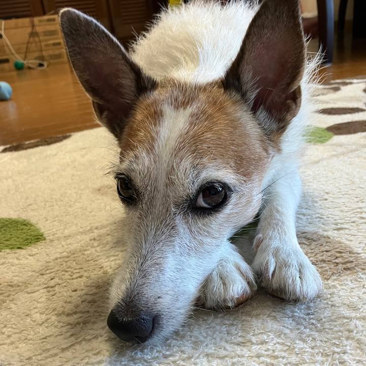 A565eace ea0f 4e6e b40f 49c1d6c8a8e7 1724119262523