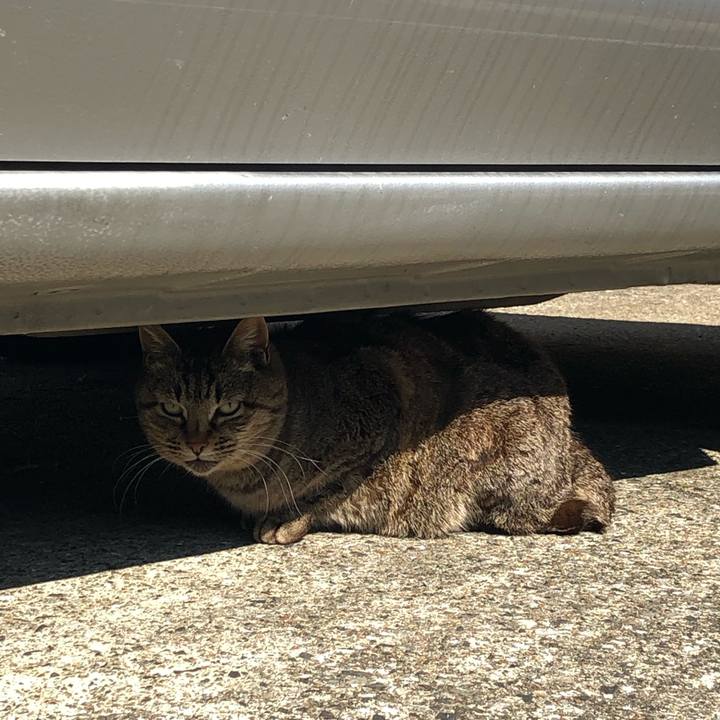 A565edb0 5d18 436f a99d c8efdd7702b7 1552123051870