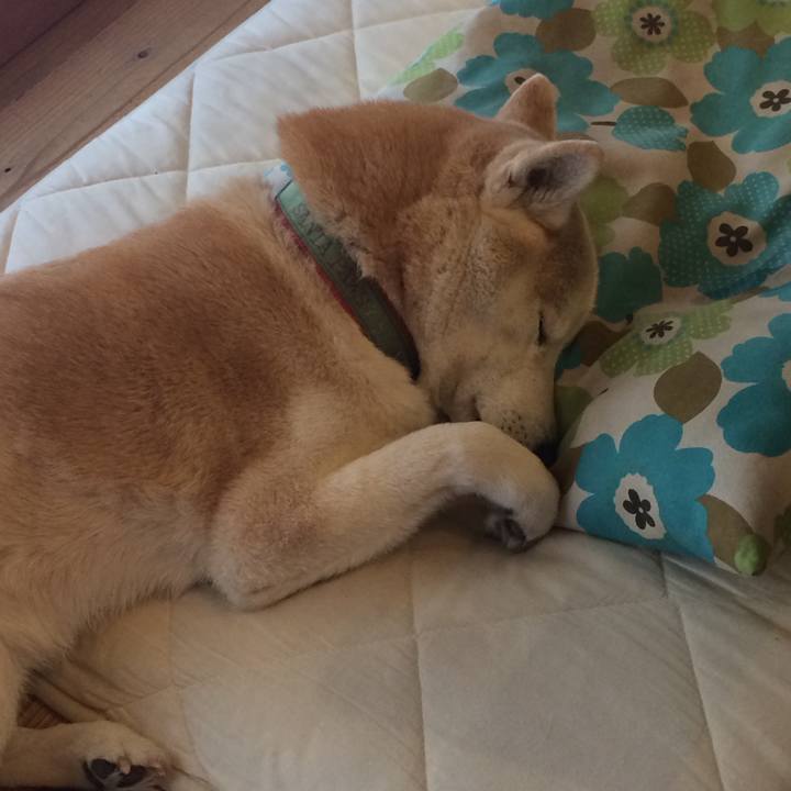 A565f8af 5ad2 4280 b451 93b32f4c445d 1551061924618