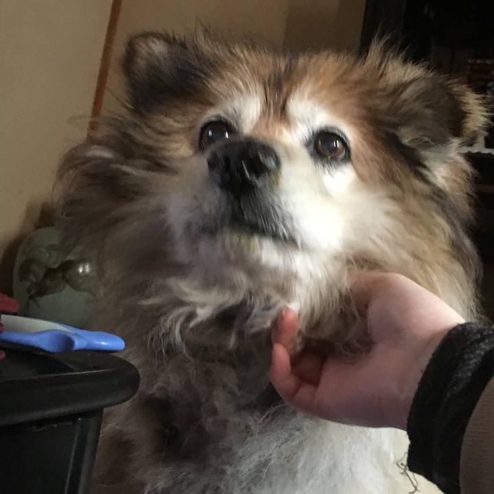 A565ffb7 cb54 4911 9f97 1965cfee4713 1559262679891