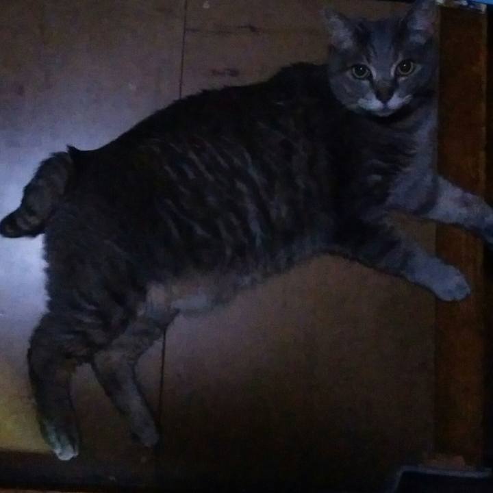 A56653b9 fe60 499f 9b70 a87b850abf4d 1558705233083