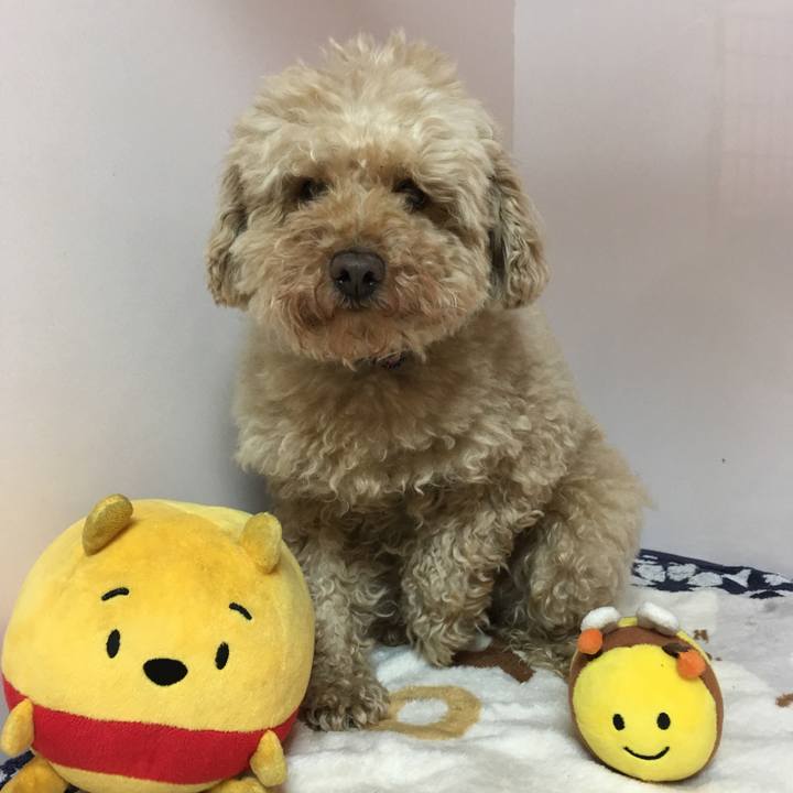 A56655a9 1562 4313 8c57 b7146a0c0819 1517568858199