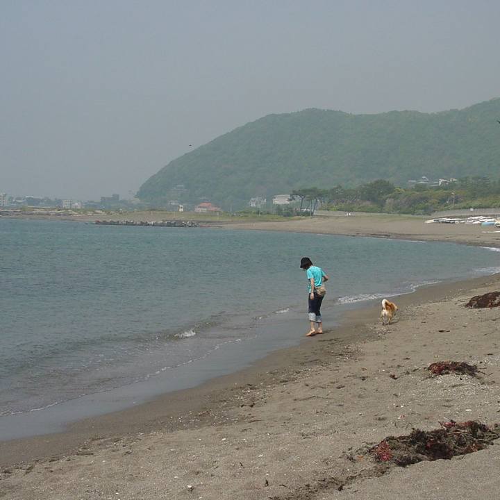 A5666962 aebe 484e b79c 5a34059b71c8 1556584234218