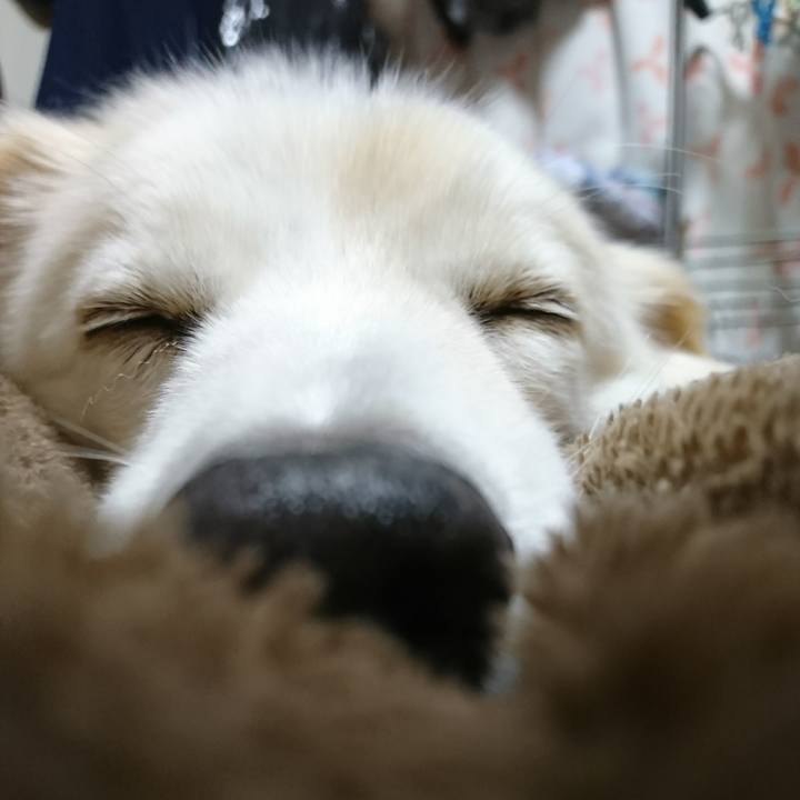 A5666bf8 0ef9 4424 8641 f76b0fd572e8 1513255253050