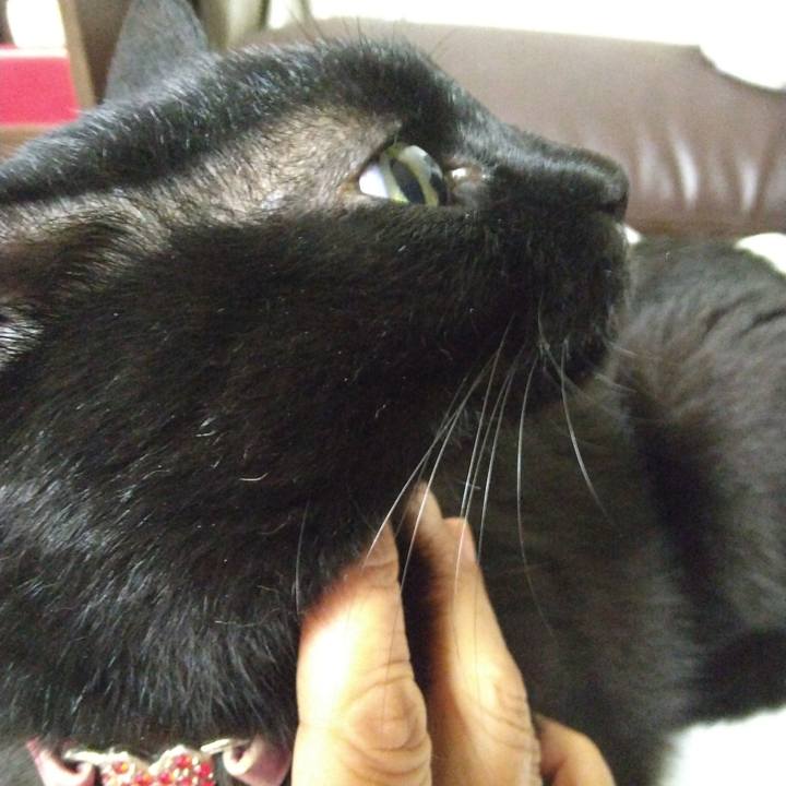 A56677d7 0f66 4652 b4b8 ad416f4b5472 1769819390193