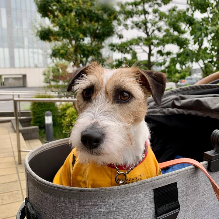 A566865c 71e3 4842 834e fba5a85a6d4c 1620507479706