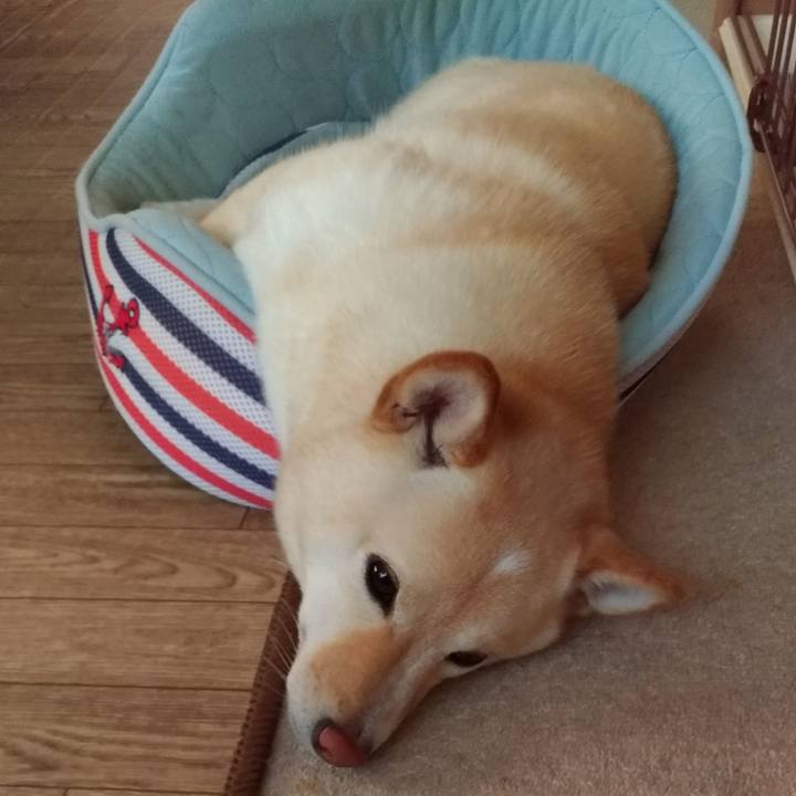 A5668f7c c06c 43f6 bd5f d9cc2e749f0b 1560924045971