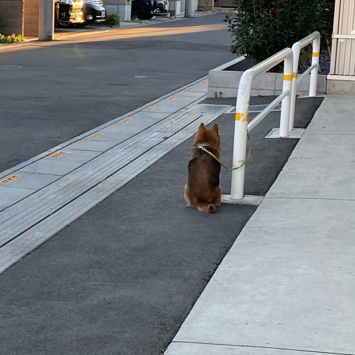 A566bc8d bb7a 42c2 be1f ff30fb895cc9 1704358149984