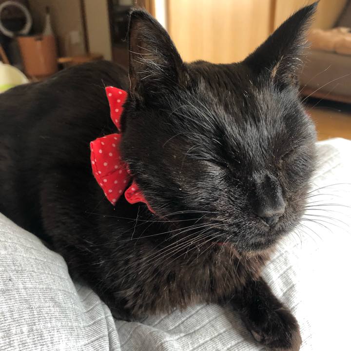 A566bd45 84d2 4e03 9d4e efdb2b1ea23f 1556592806131