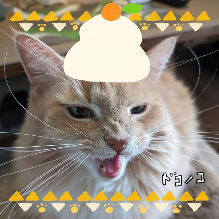 A5671a1c c65f 4b3a a6c5 ad4efacf9d8d 1704188989940