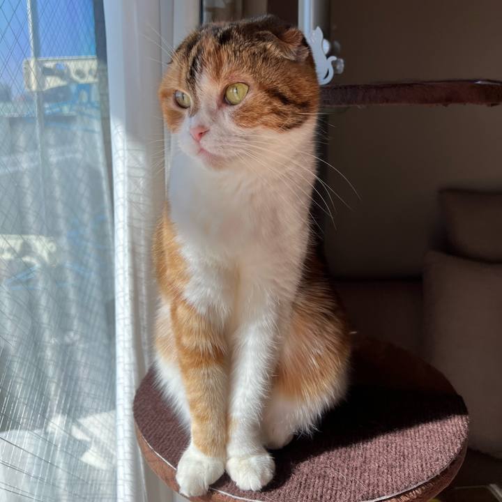 A5673371 cc50 4630 a943 1a99b9b6e86c 1642297592461