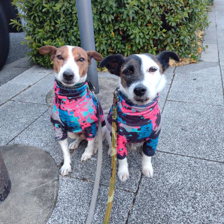 A5674cfa 9040 49b5 9ee6 9ca189db2c15 1705272314532