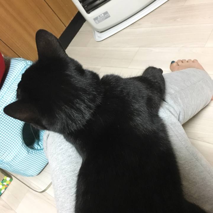 A5677244 78e8 4041 8274 a25560930061 1515590686632