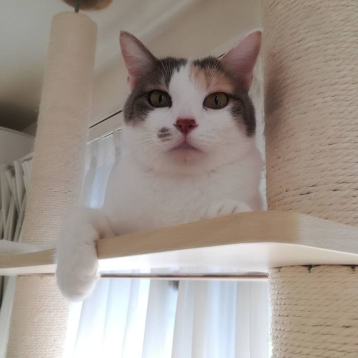 A567b660 7869 4402 8095 82a45ac333d1 1545013695620