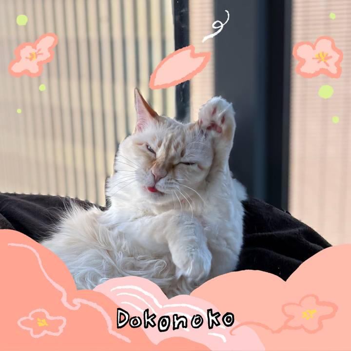 A567f09e b480 4f7c a7ca 94759c6d41ba 1775257246377