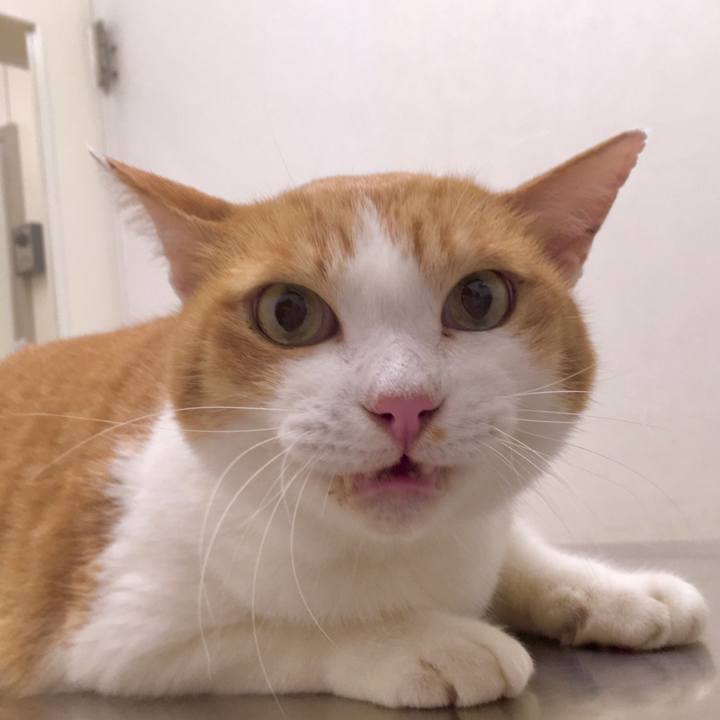 A567f847 c297 4b00 a335 1b508718dc06 1571812194275