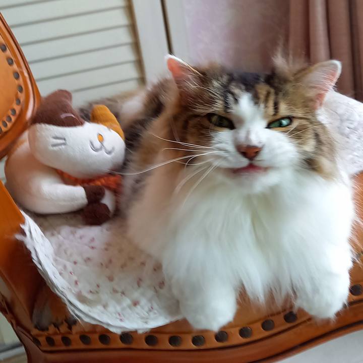 A5681970 dd03 4a76 820d 962a3cd3ef63 1623883463223