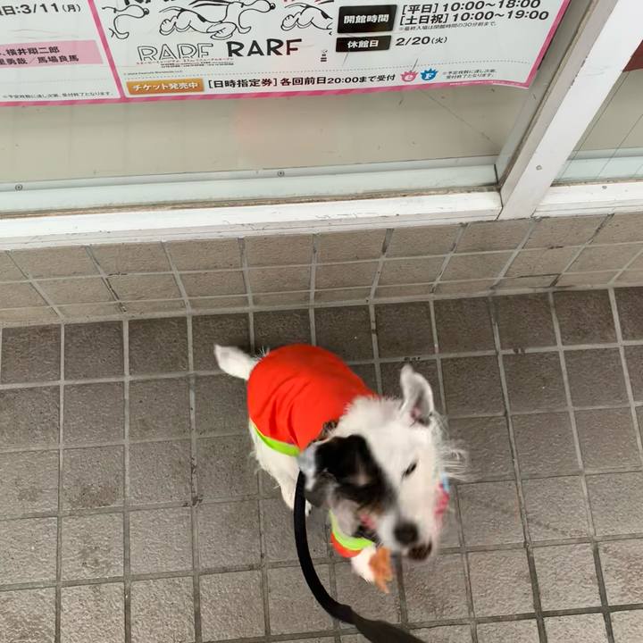 A5683f52 b481 43dd 81bf 91a4307da5b0 1708587156275