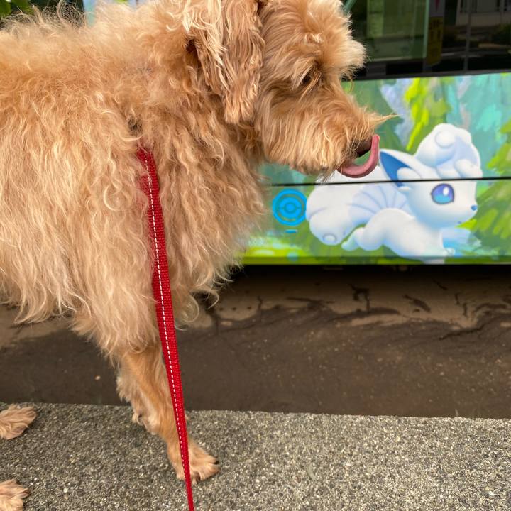 A568573a 5d46 4b8a 9f86 b226bac13885 1661210202012