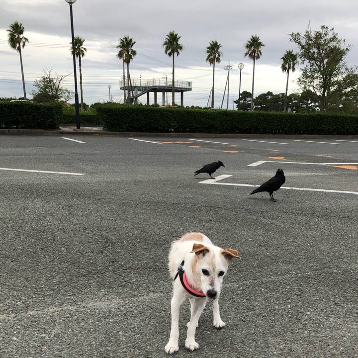 A56865f5 ef38 4cac bbbb 97c41c2cb93e 1663417683644