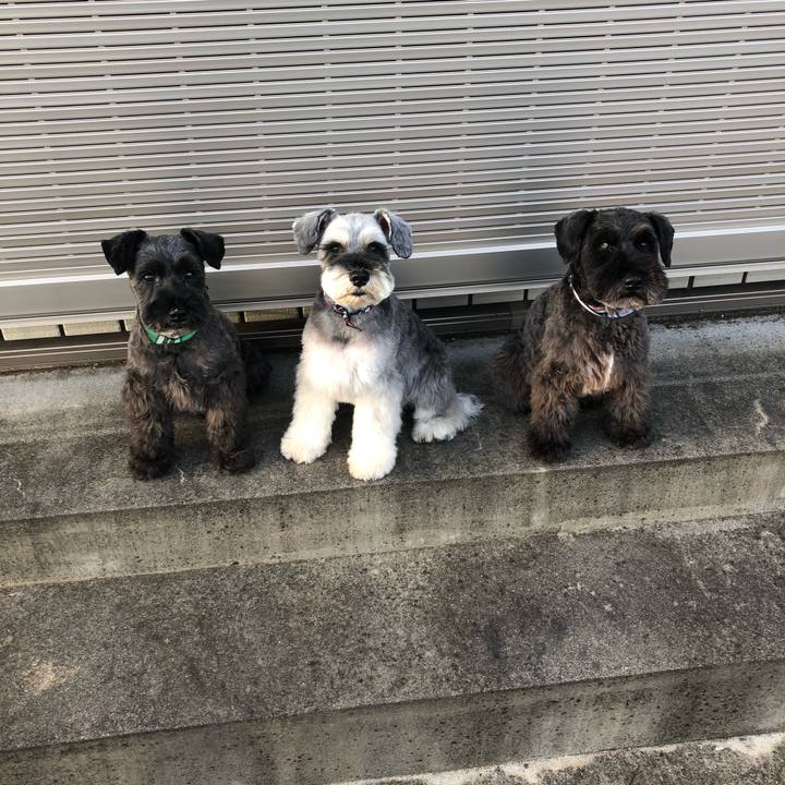 A568c48d d326 49e8 9b8f 26359777024e 1574059196032