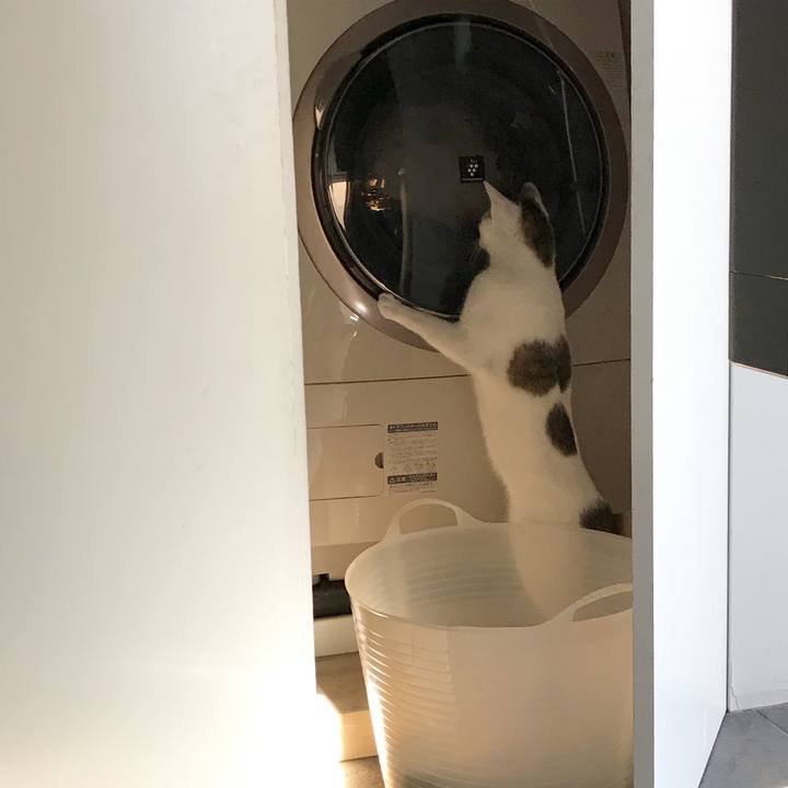 A568eb9e b5ca 4e70 bfe1 9029c4fcd7f9 1510017435216