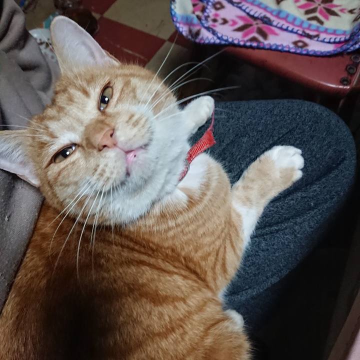 A568ecec da61 47da 93a3 07ec7f56cc61 1575974008914